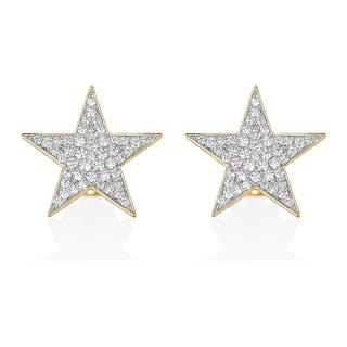 ぺ*ろ様 クアラントット　ピアス　冬の星 値引きしました】クアラントット 星型ピアス