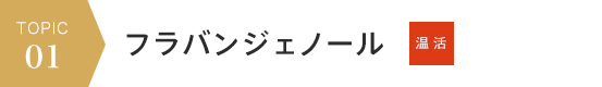 voice