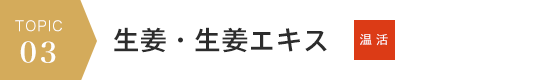 voice
